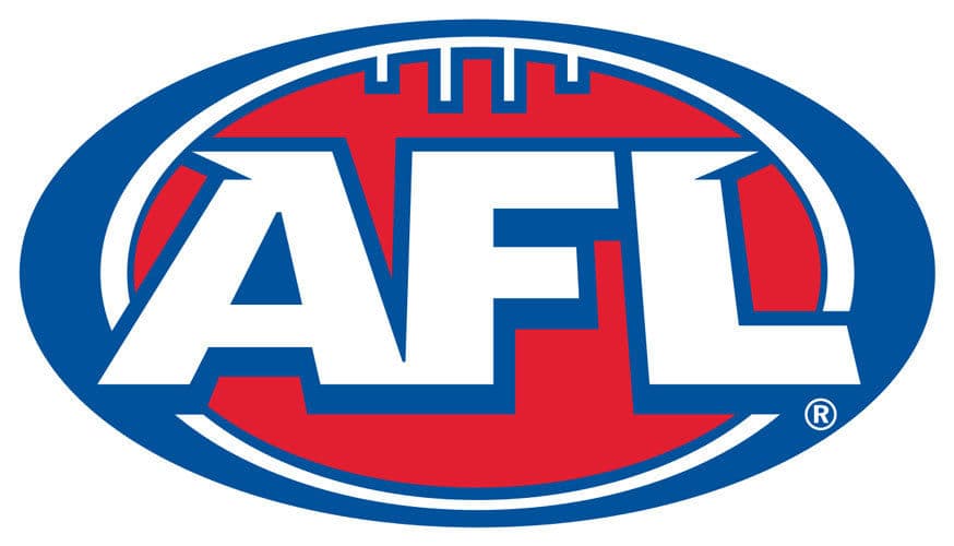 Melbourne Demons AFL Pole Flag 180cm by 90cm