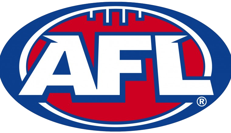 Brisbane Lions 2025 AFL Premiers Team Pennant *PRESALE*