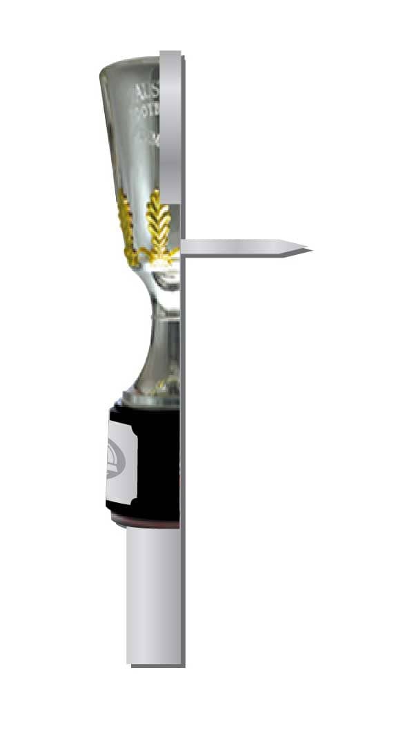 Geelong Cats 2022 AFL Premiers 3D Trophy Pin