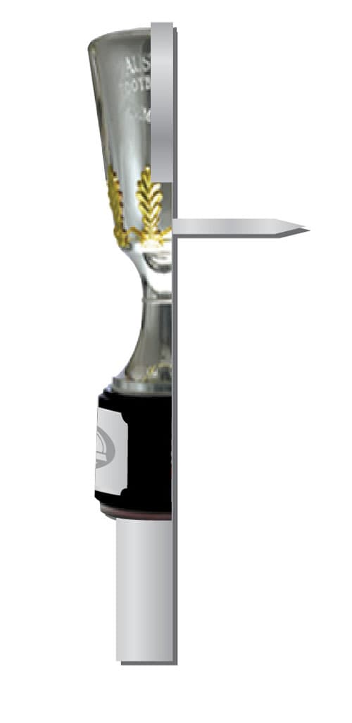 Brisbane Lions 2024 AFL Premiers 3D Trophy Pin