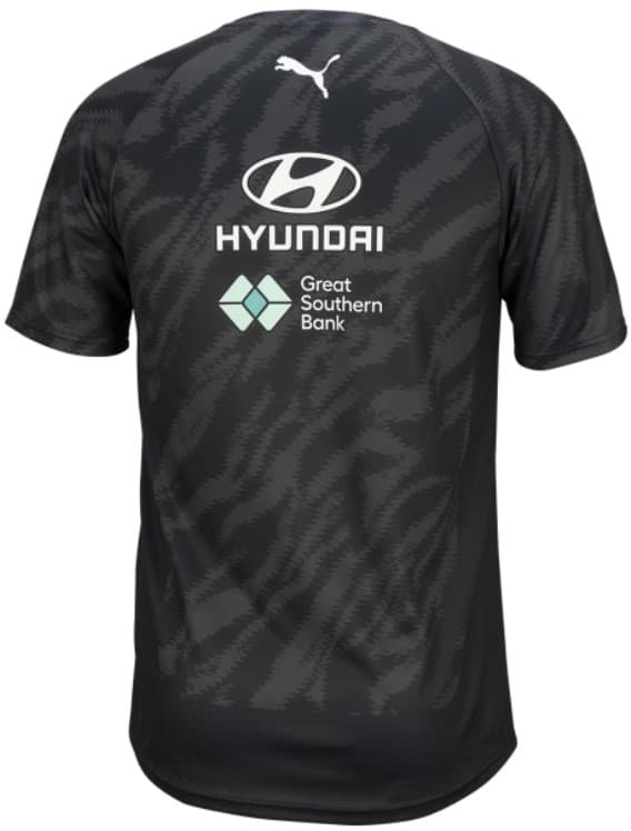 Carlton Blues AFL Mens Navy Training Shirt
