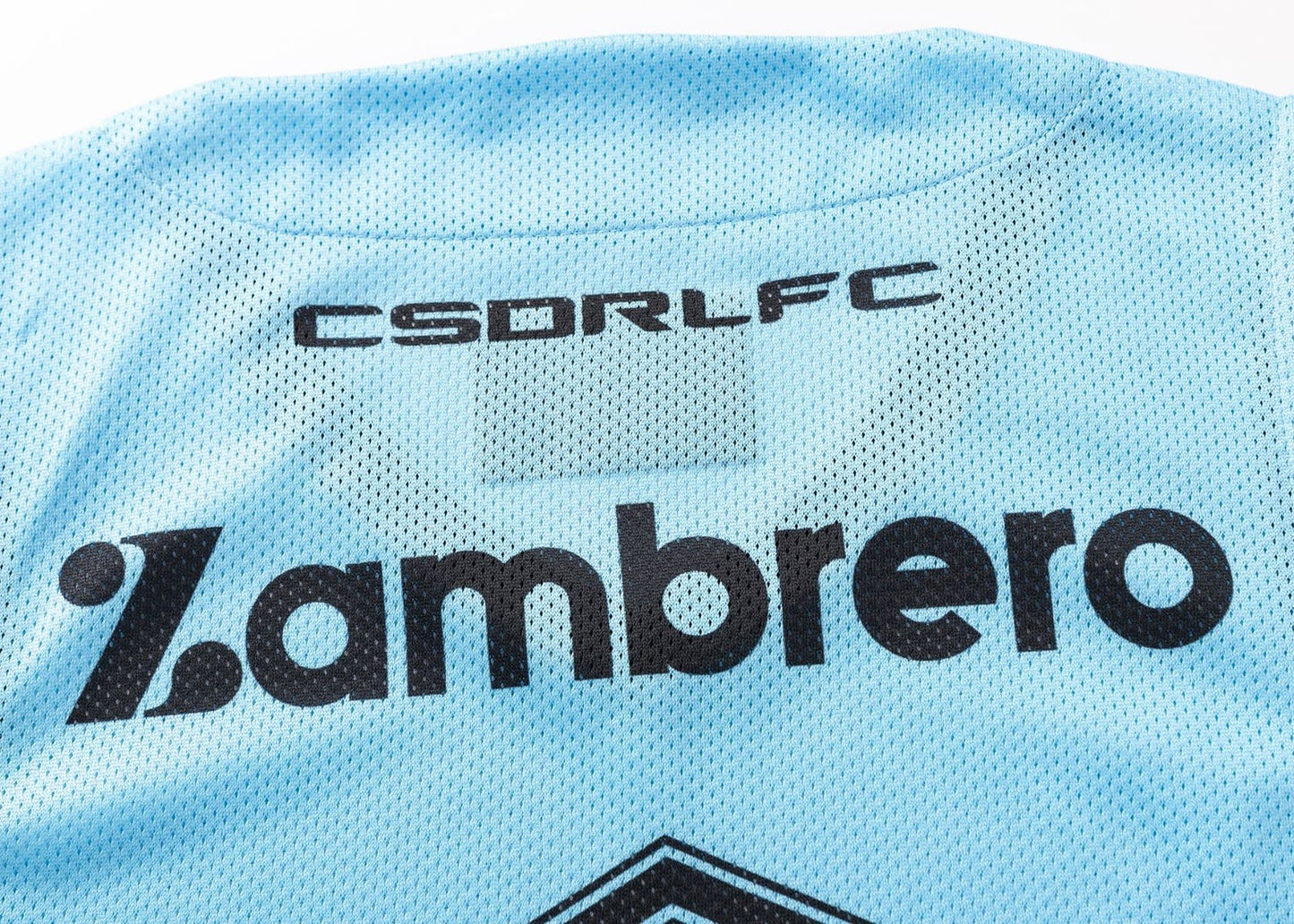Cronulla Sharks 2025 NRL Mens Sky Training Singlet