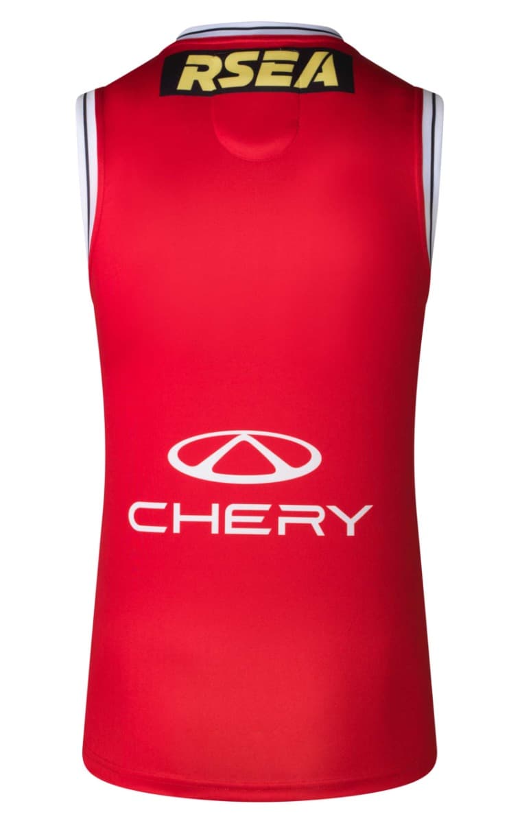 St Kilda Saints 2025 AFL Mens Clash Guernsey