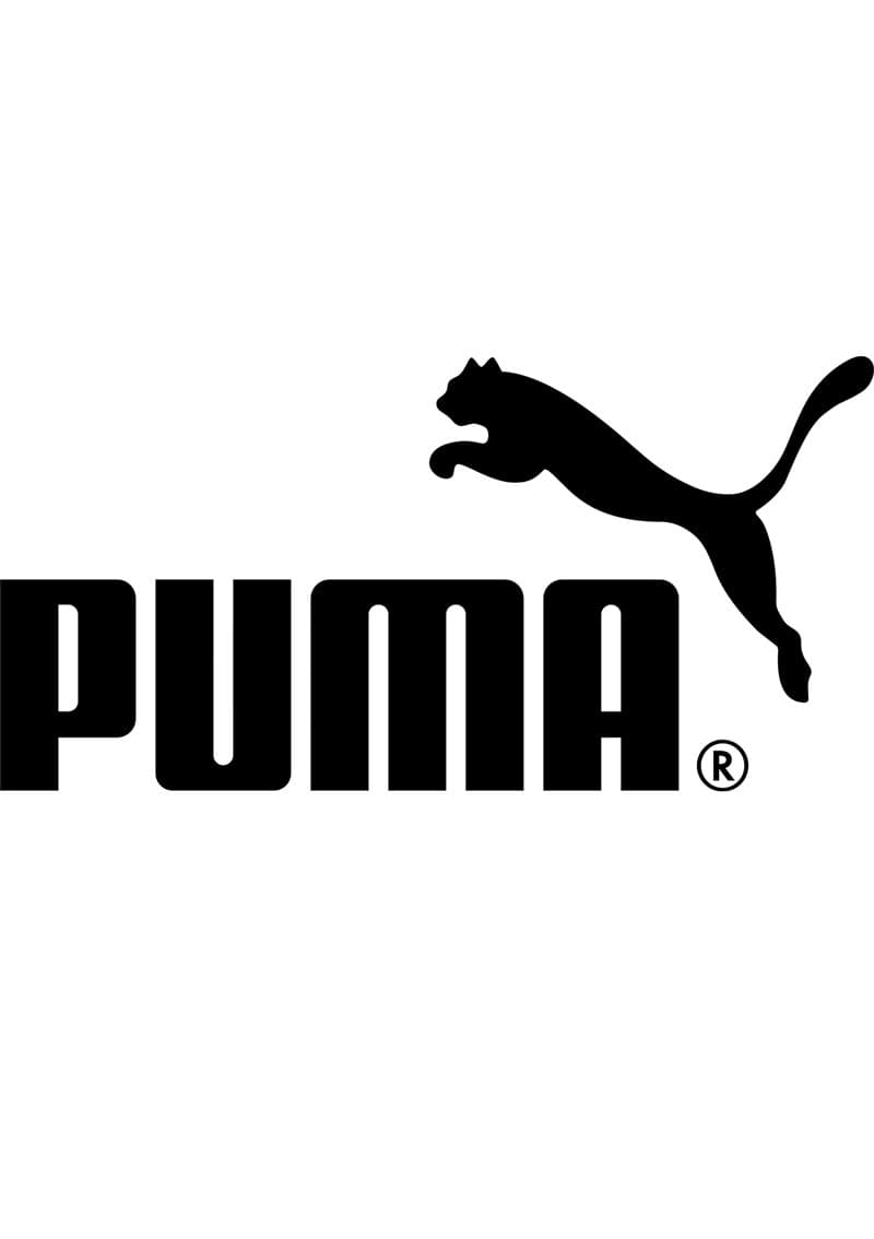 New Zealand Warriors 2023 NRL Ladies Graphic Crew New Zealand Warriors 2023 NRL Ladies Graphic Crew