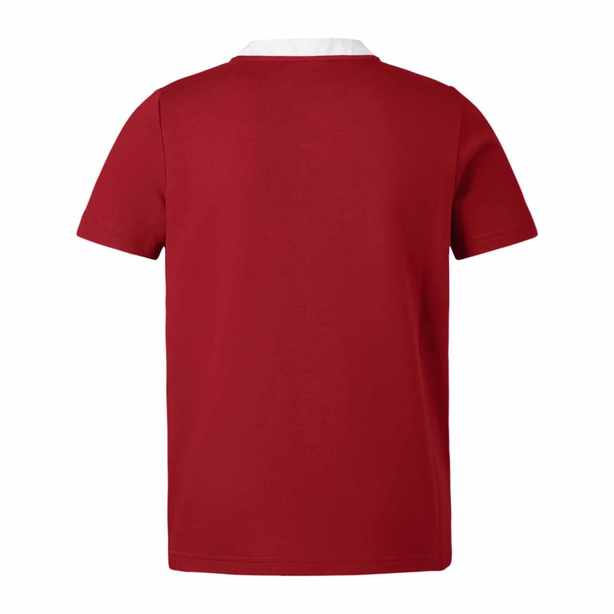 British & Irish Lions 2025 Rugby Union Mens Classic Jersey