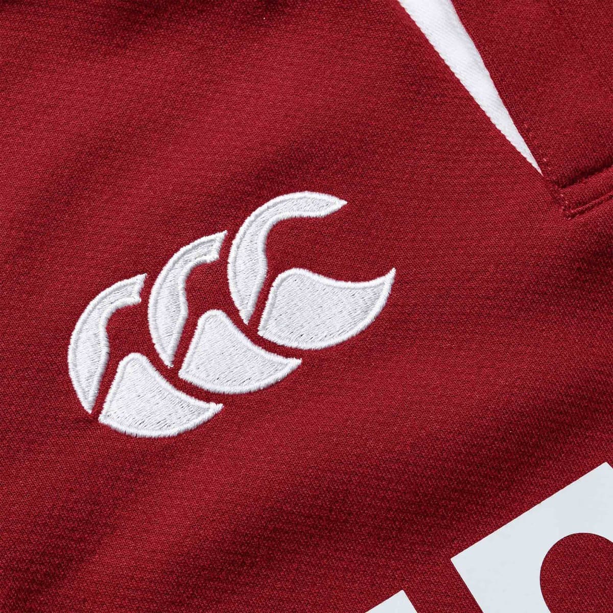British & Irish Lions 2025 Rugby Union Mens Classic Jersey