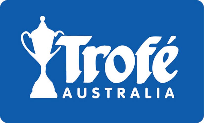 Brisbane Lions 2024 AFL Premiers 3D Trophy Pin