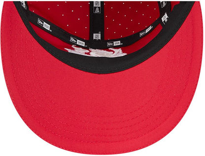 St George Dragons 2026 NRL Twenty9 Training Cap