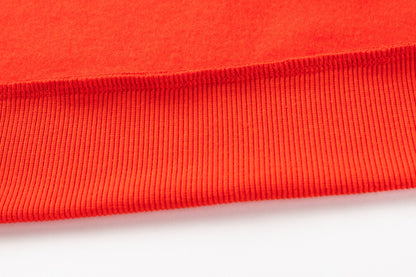 Dolphins 2026 NRL Mens Players Hoodie