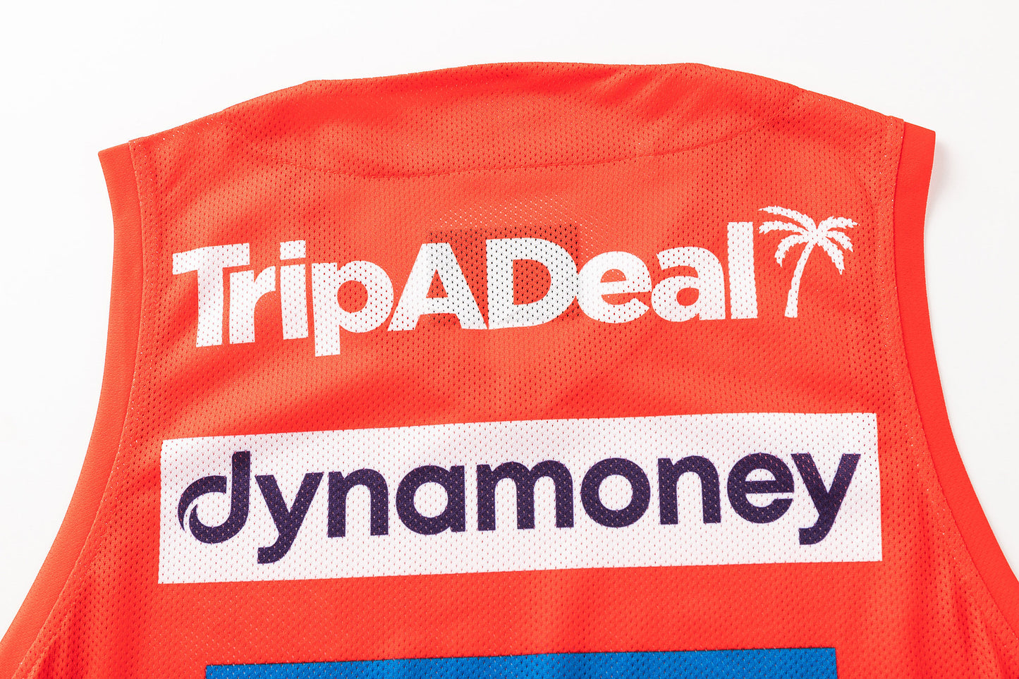 St George Dragons 2026 NRL Mens Red Training Singlet