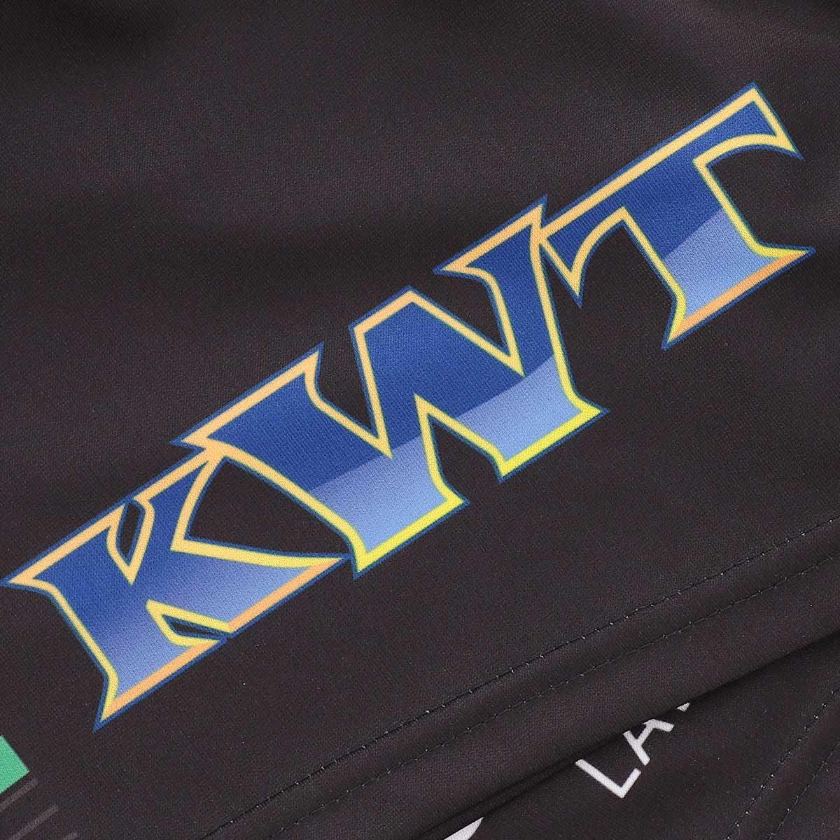 Penrith Panthers 2026 NRL Mens Home Shorts