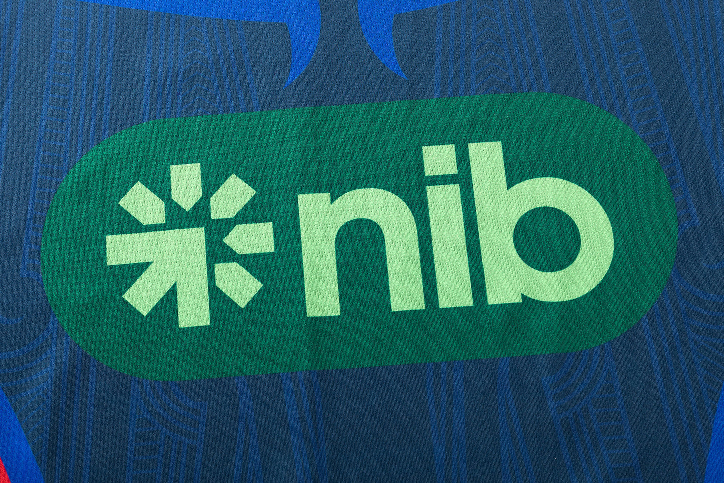 Newcastle Knights 2026 NRL Mens Warm Up Shirt