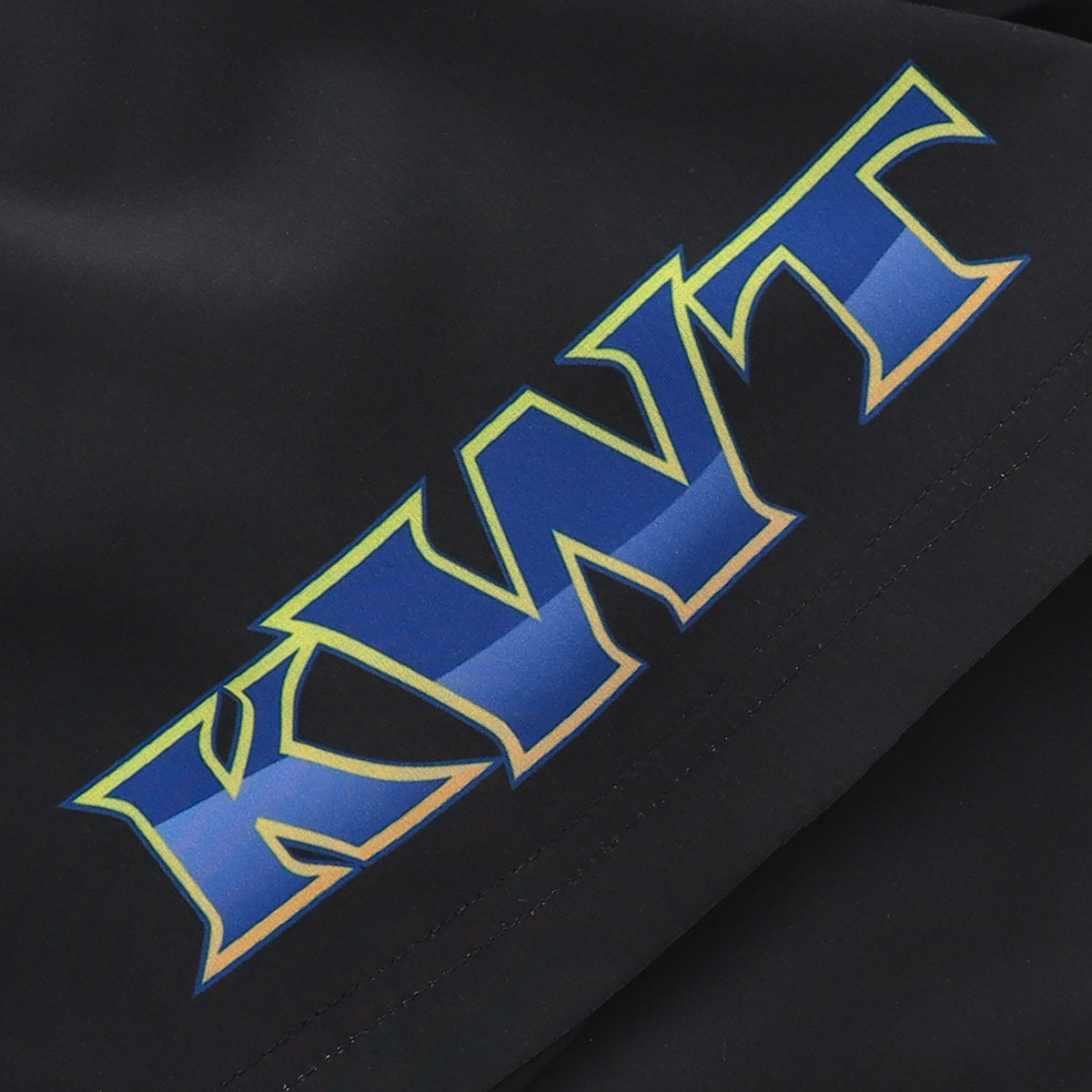 Penrith Panthers 2026 NRL Mens Training Gym Shorts