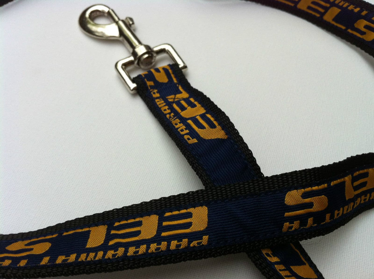 Parramatta Eels Dog Lead NRL