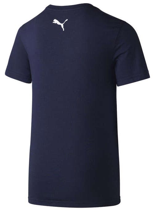 NSW Blues State of Origin Kids Graphic Tee