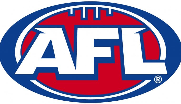 Richmond Tigers AFL Back to Back Premiers Guernsey