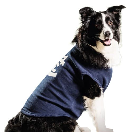 Carlton Blues AFL Dog Coat Jumper Guernsey