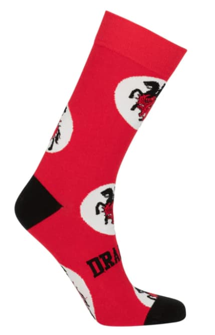 St George Dragons NRL Adults Logo Dots Socks