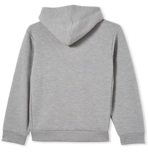 Geelong Cats AFL Mens Grey Fleece Pullover Hoody