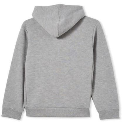 Geelong Cats AFL Mens Grey Fleece Pullover Hoody
