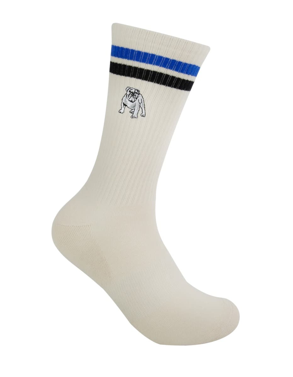 Canterbury Bulldogs NRL Icons Sneaker 2 Sock Pack