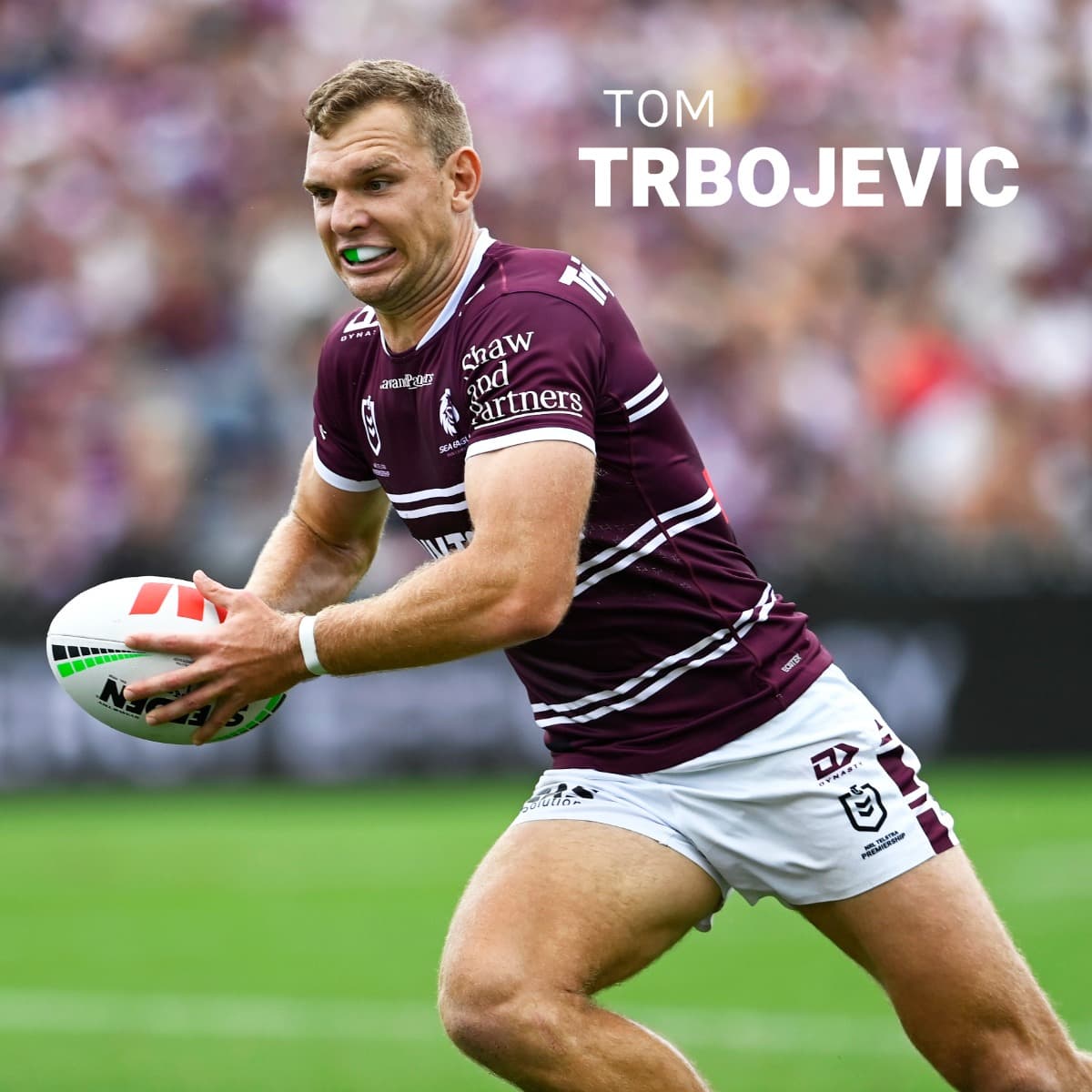 Manly Sea Eagles 2025 NRL Team Wall Calendar