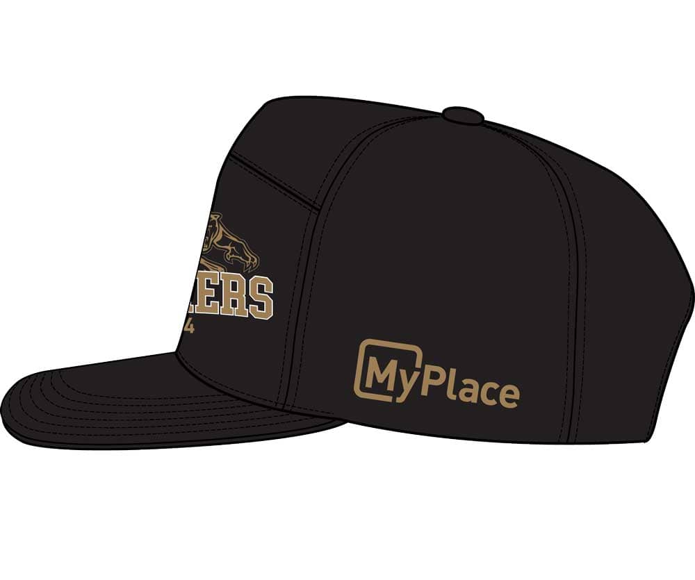 Penrith Panthers 2024 NRL O'Neills Premiers Cap