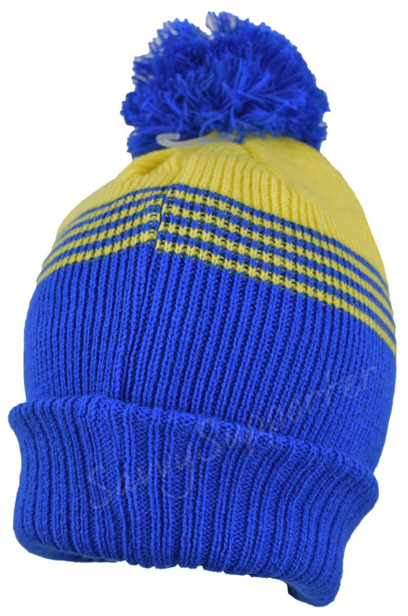 Parramatta Eels NRL Adults Retro Beanie