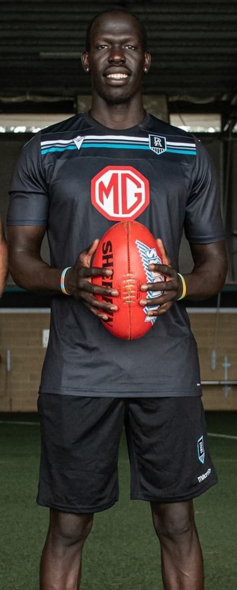 Port Adelaide Power Mens Training Shirt