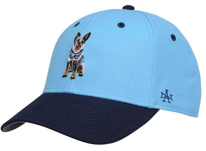 NSW Blues State of Origin Kids CATTLEDOG !! Bruce Heeler Cap