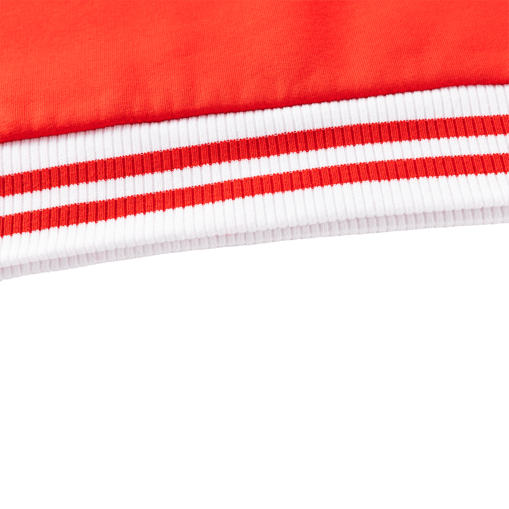 St George Dragons 2026 NRL Mens Pullover Hoodie