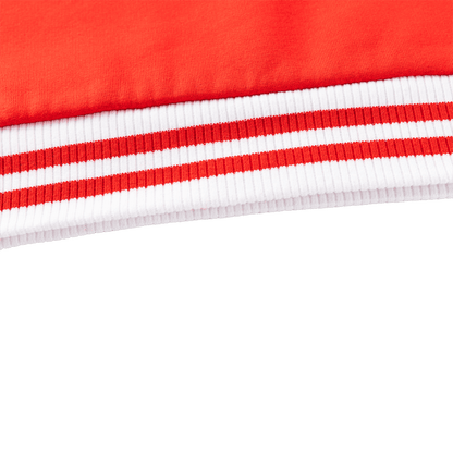 St George Dragons 2026 NRL Mens Pullover Hoodie