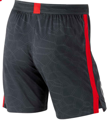 Sydney Swans 2023 AFL Mens Training Gym Shorts