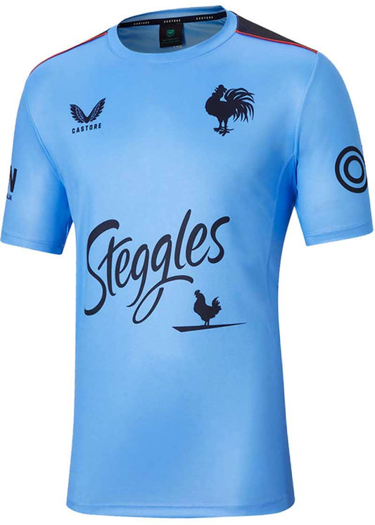 Sydney Roosters NRL Kids Sky Blue Training Shirt
