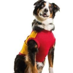 GIANTS AFL Dog Jersey - GIANTS Shop