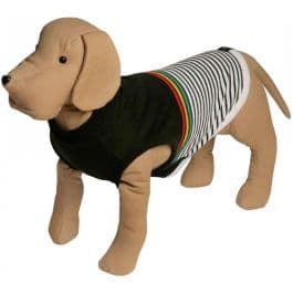 Panthers jersey dog store
